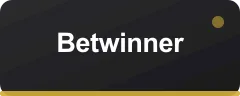 Betwinner logo