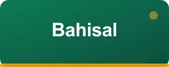 Bahisal logo