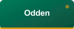 Odden logo