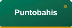 Puntobahis logo