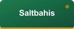 Saltbahis logo